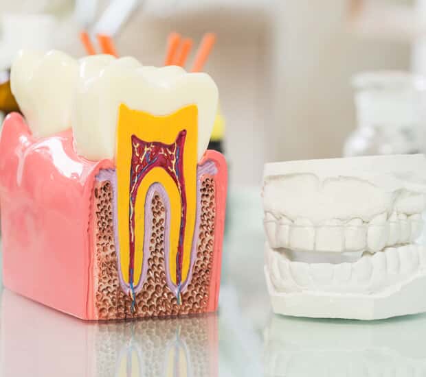 Marietta Tooth Anatomy